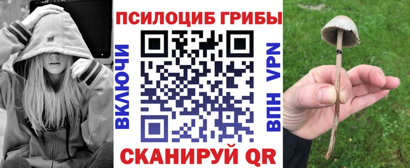 где найти   площадка клад  Псилоцибиновые грибы GOLDEN TEACHER  Похвистнево 